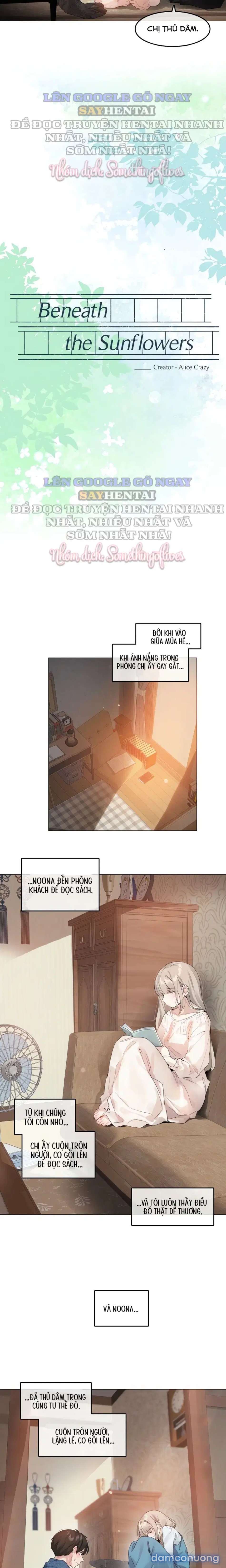 Mùa Hướng Dương Thầm Thì 