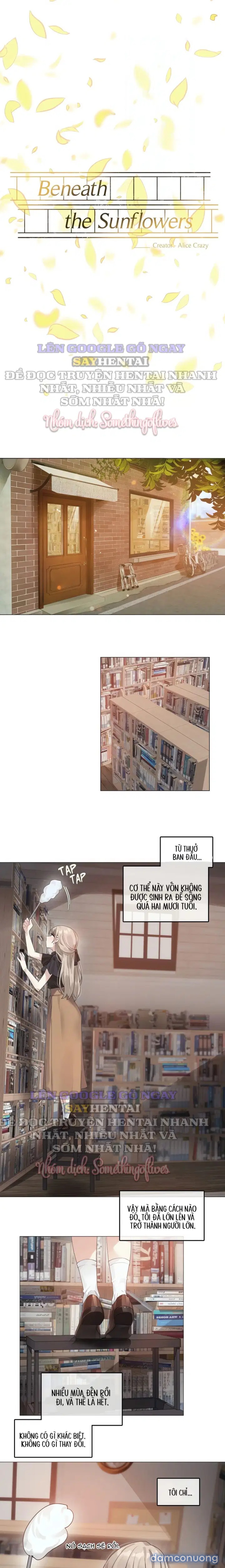 Mùa Hướng Dương Thầm Thì 