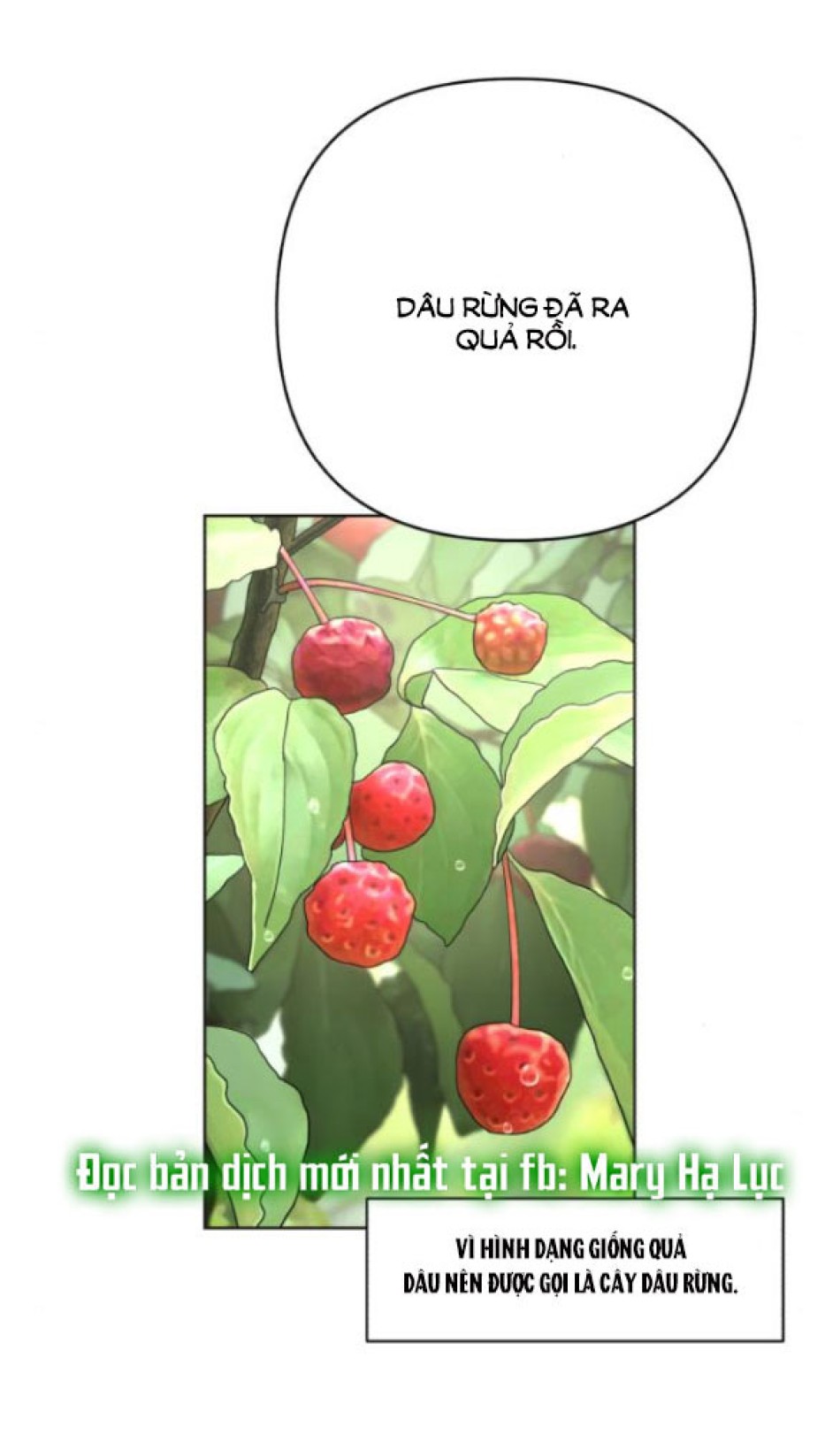 TÌNH YÊU CỦA IK SEOB 