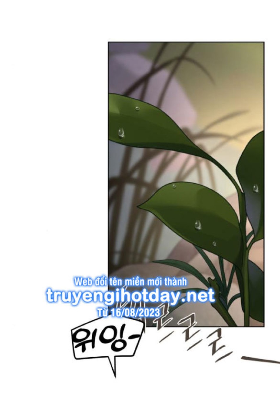 TÌNH YÊU CỦA IK SEOB 