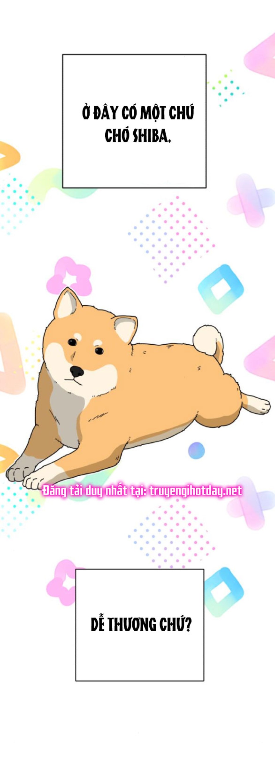TÌNH YÊU CỦA IK SEOB 