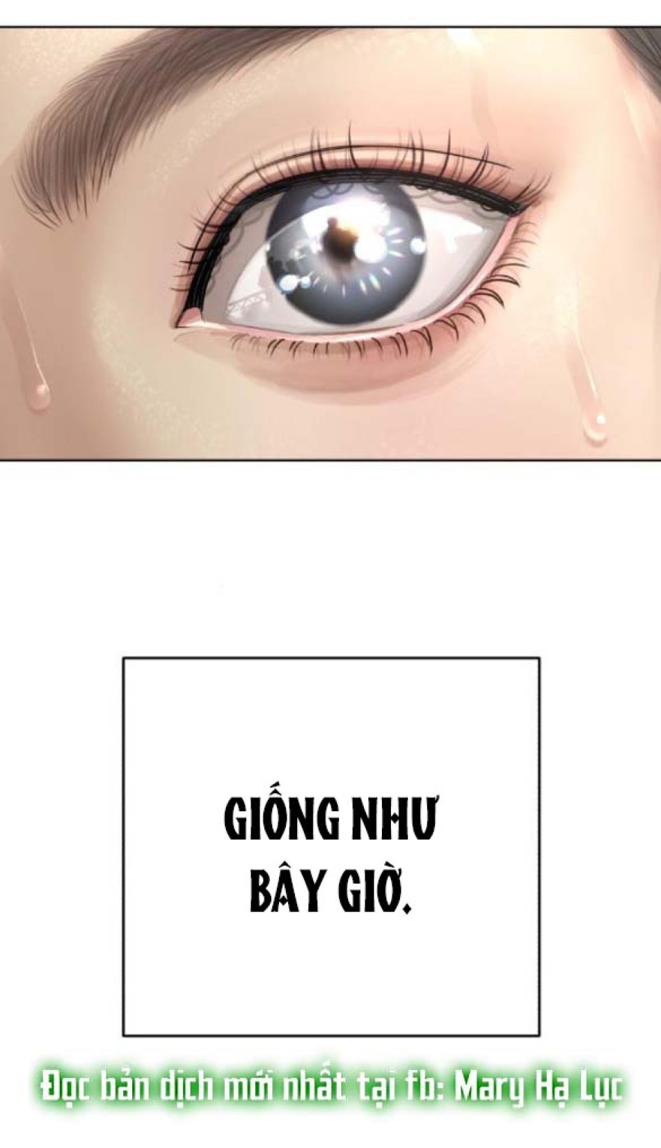 TÌNH YÊU CỦA IK SEOB 