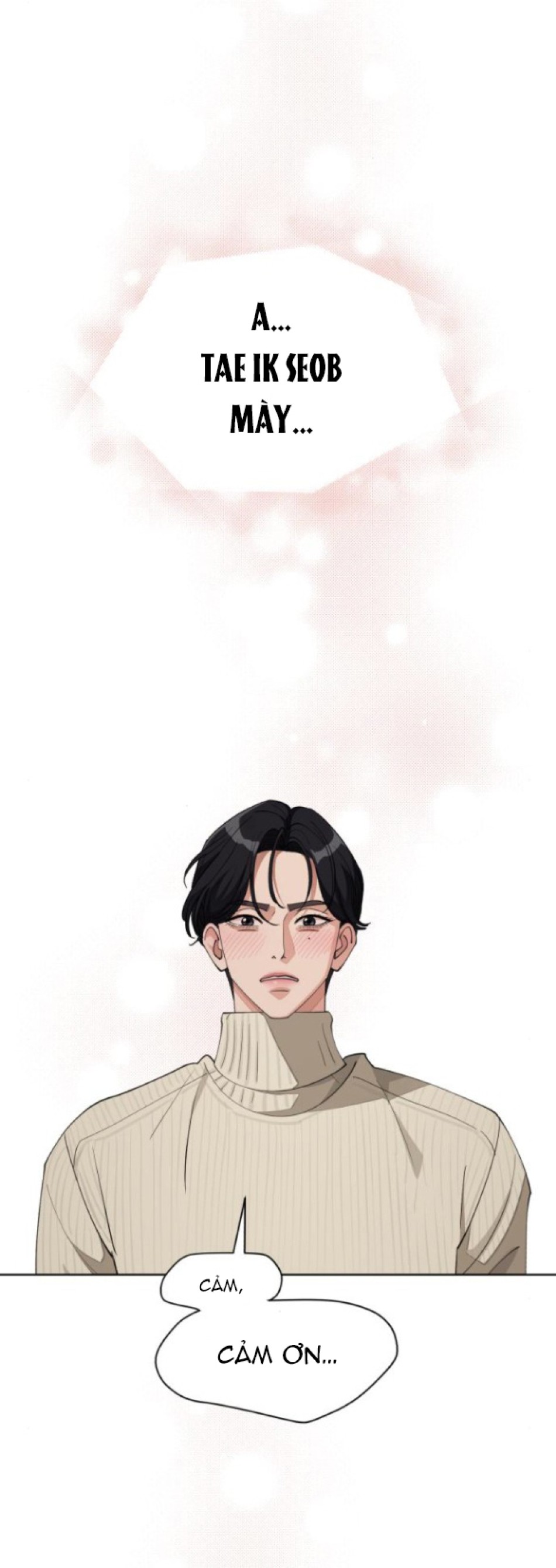 TÌNH YÊU CỦA IK SEOB 