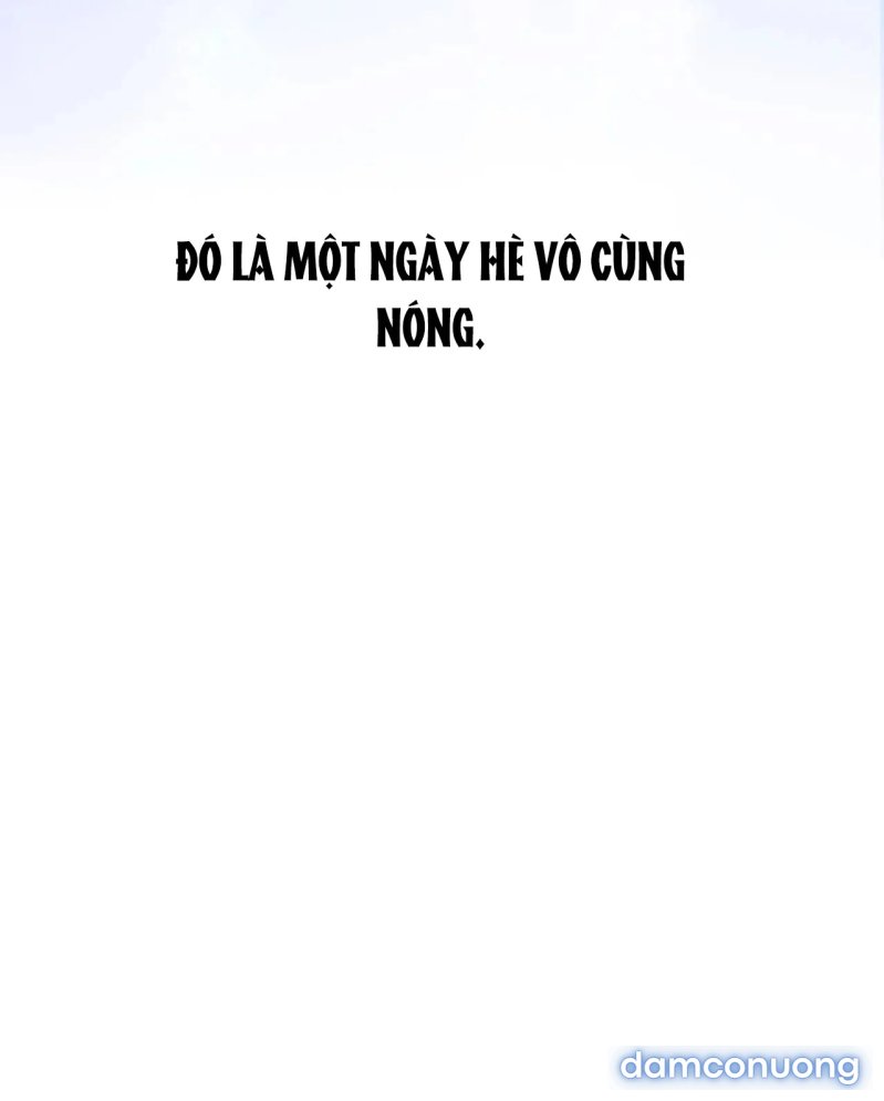 Tình Yêu Trong Sáng 
