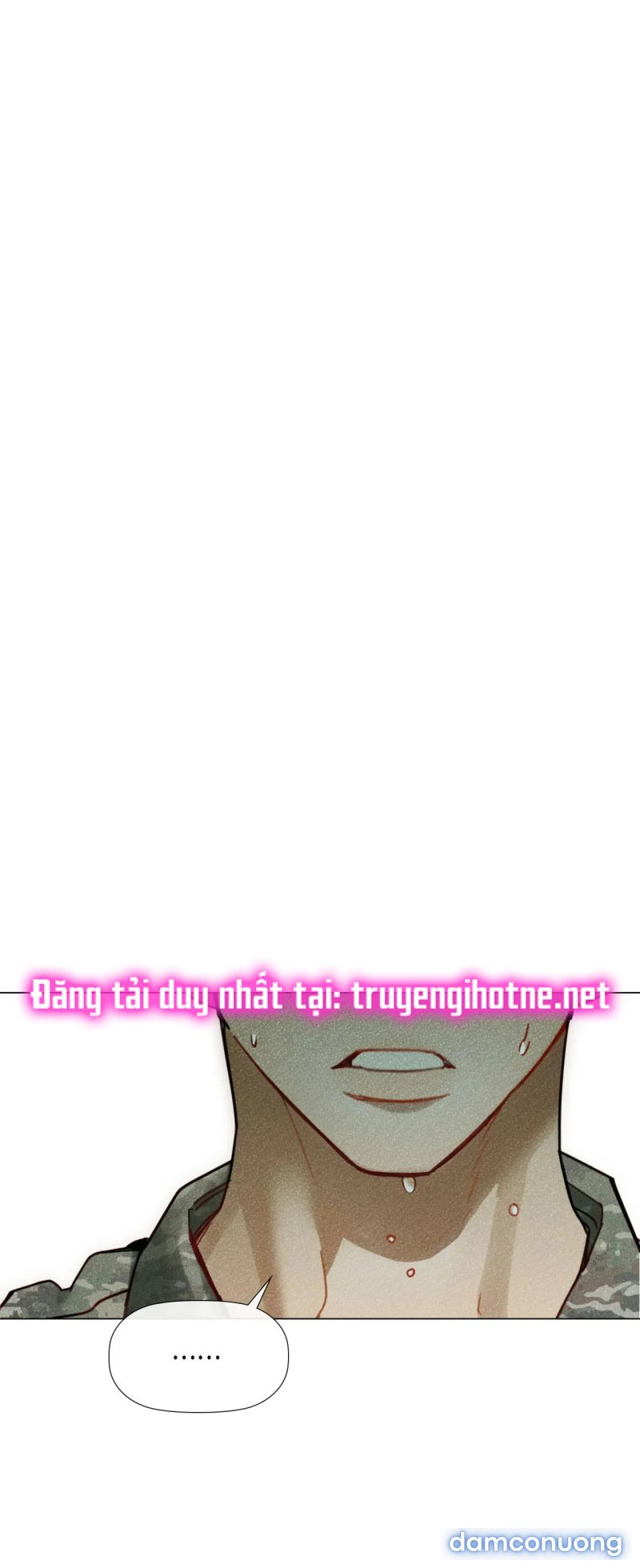 Tình Yêu Trong Sáng 