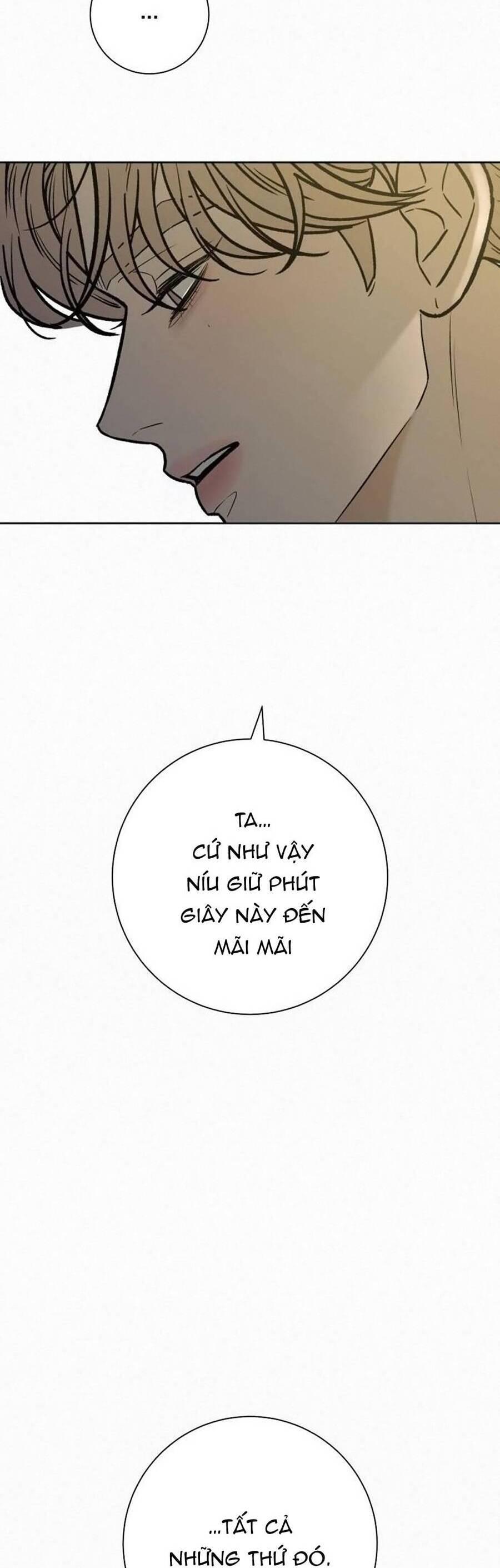 Tình Yêu Trong Sáng 
