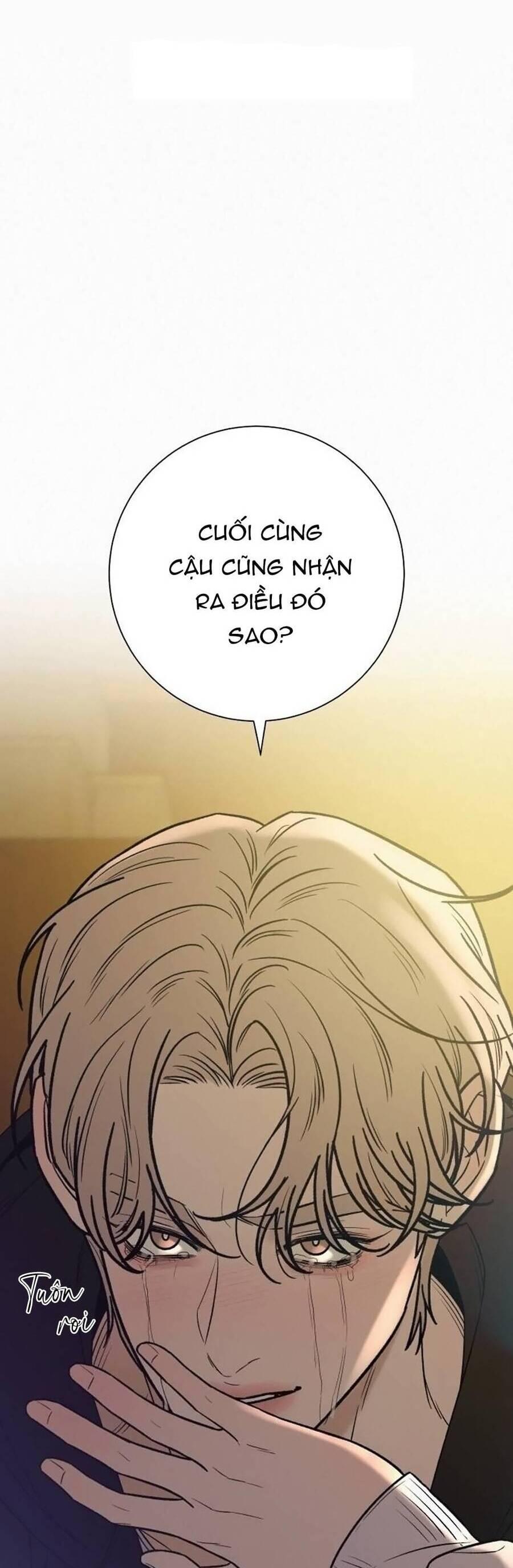 Tình Yêu Trong Sáng 
