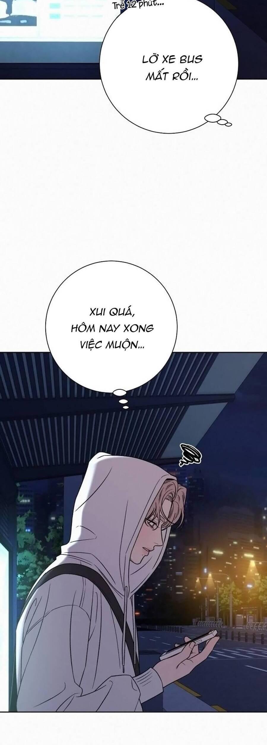Tình Yêu Trong Sáng 