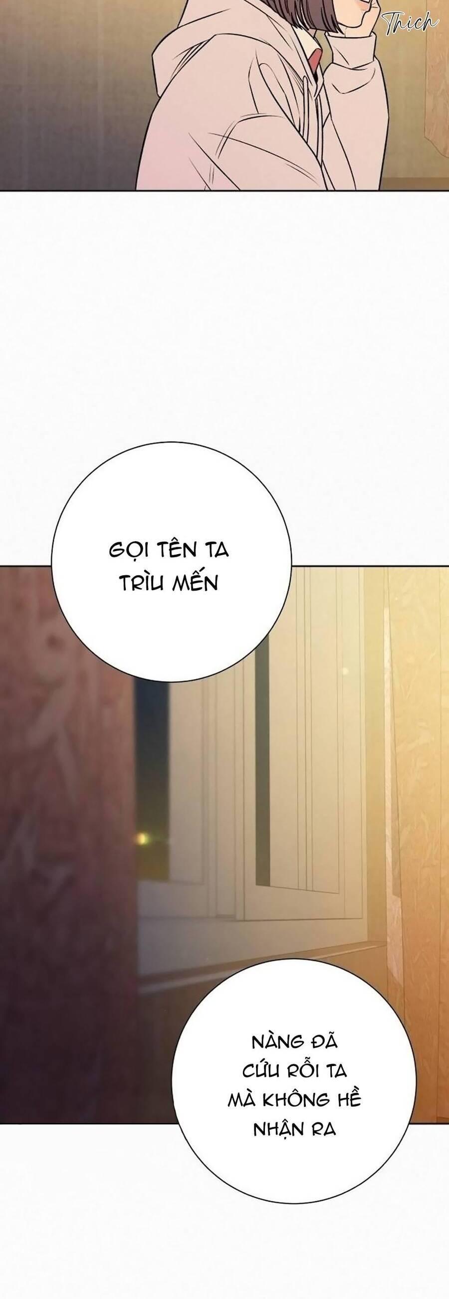 Tình Yêu Trong Sáng 