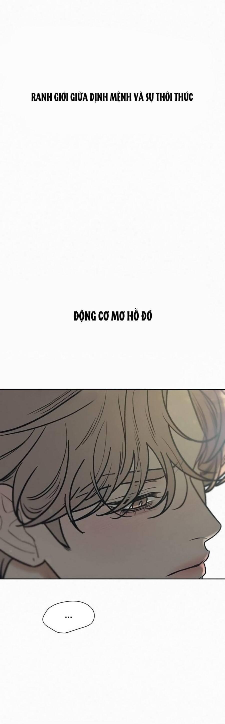 Tình Yêu Trong Sáng 