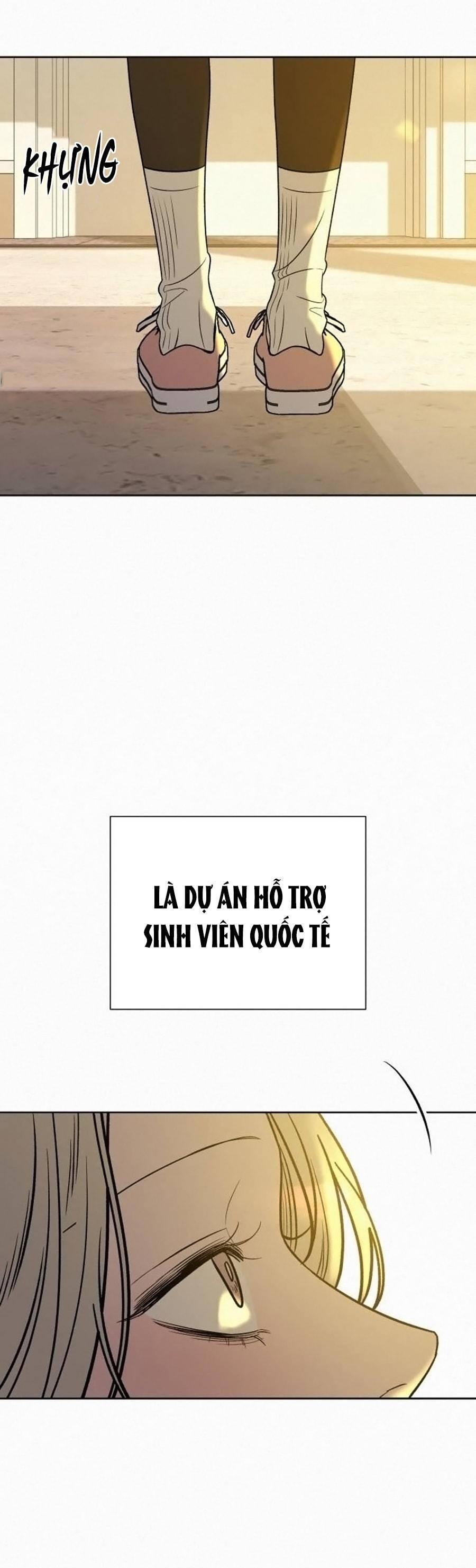 Tình Yêu Trong Sáng 