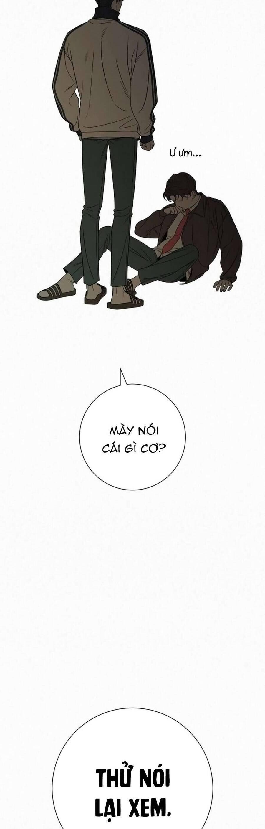 Tình Yêu Trong Sáng 