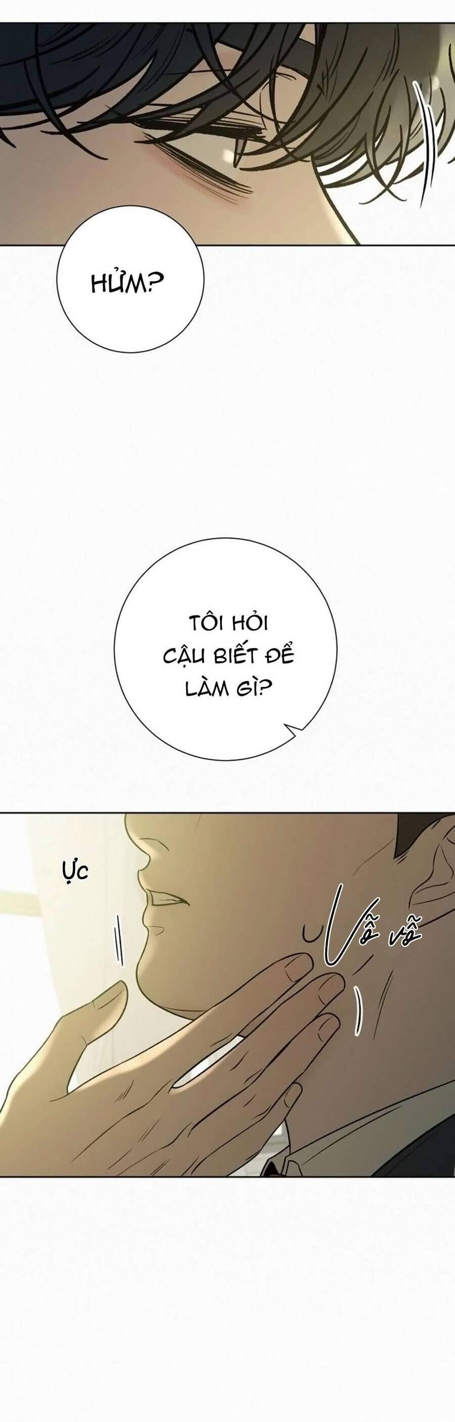 Tình Yêu Trong Sáng 