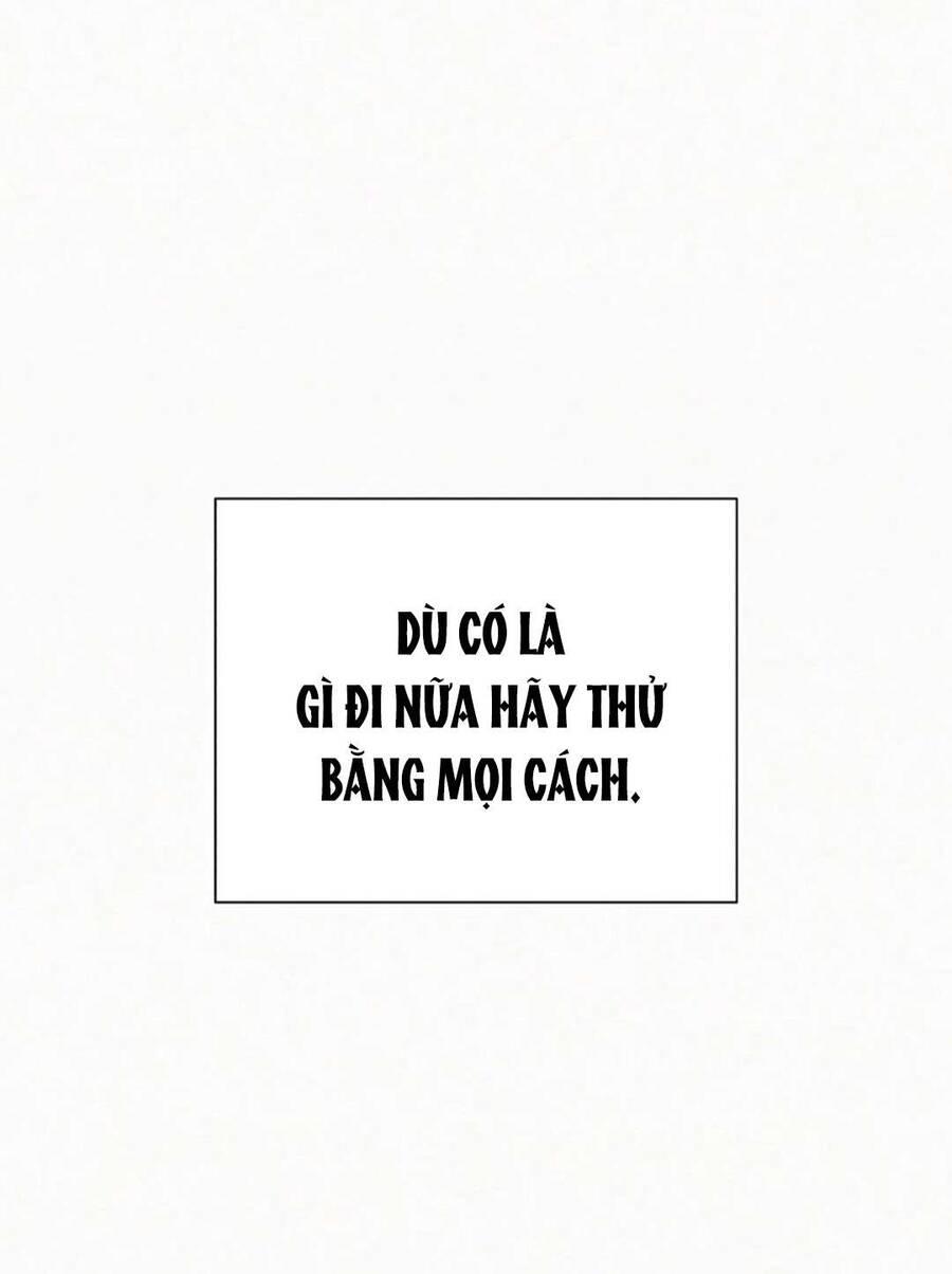 Tình Yêu Trong Sáng 
