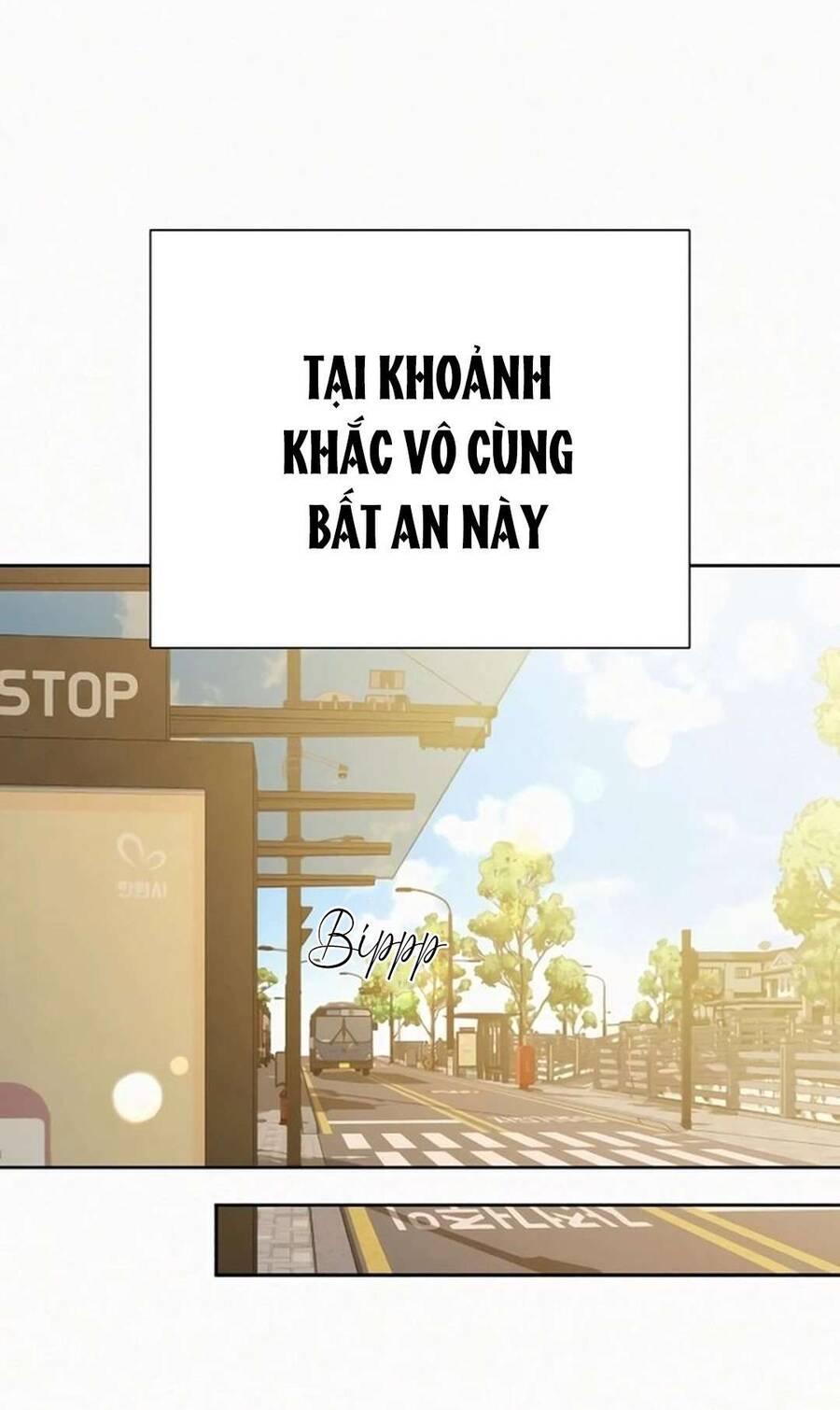Tình Yêu Trong Sáng 