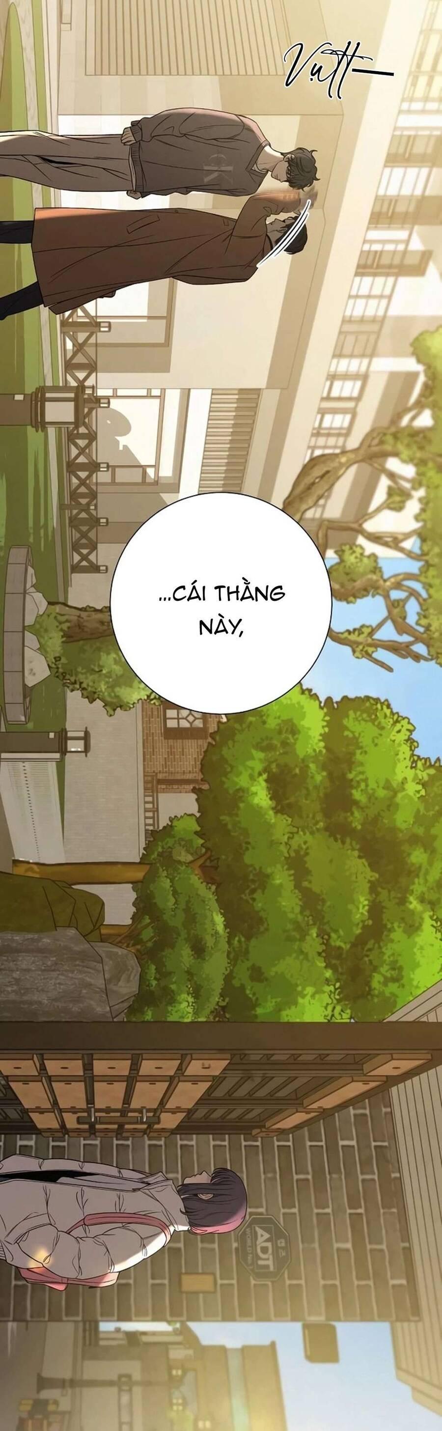 Tình Yêu Trong Sáng 