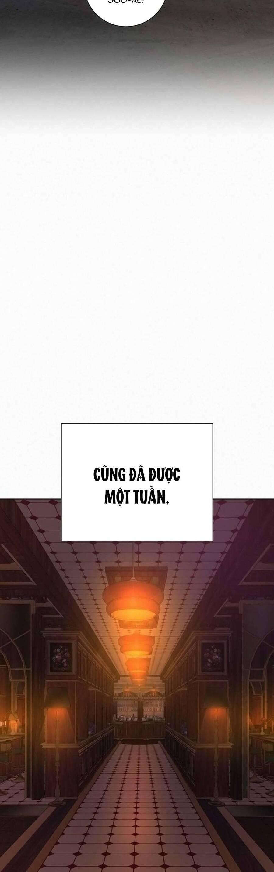 Tình Yêu Trong Sáng 