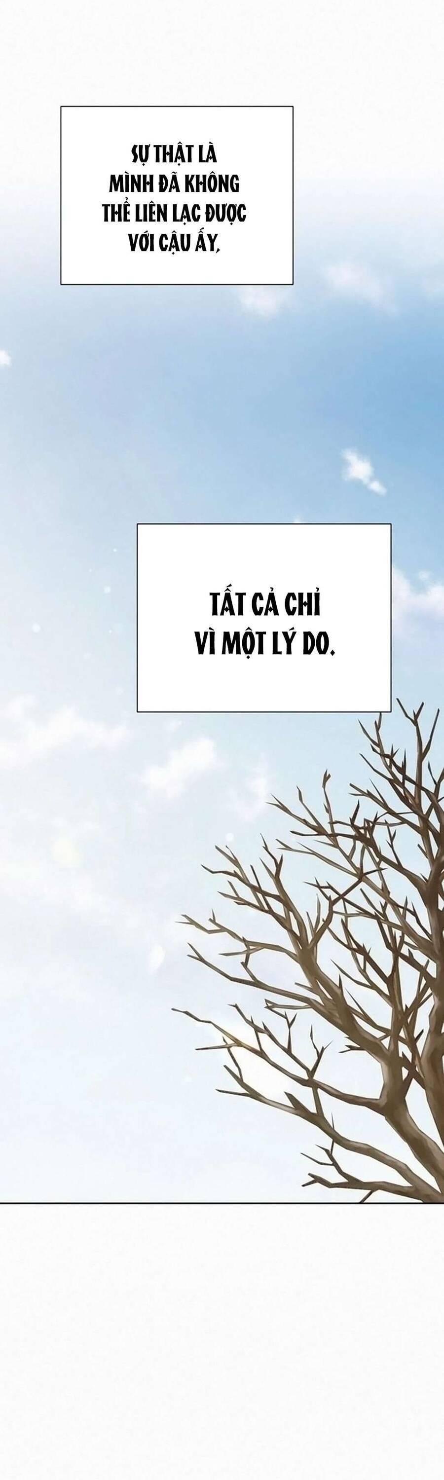 Tình Yêu Trong Sáng 