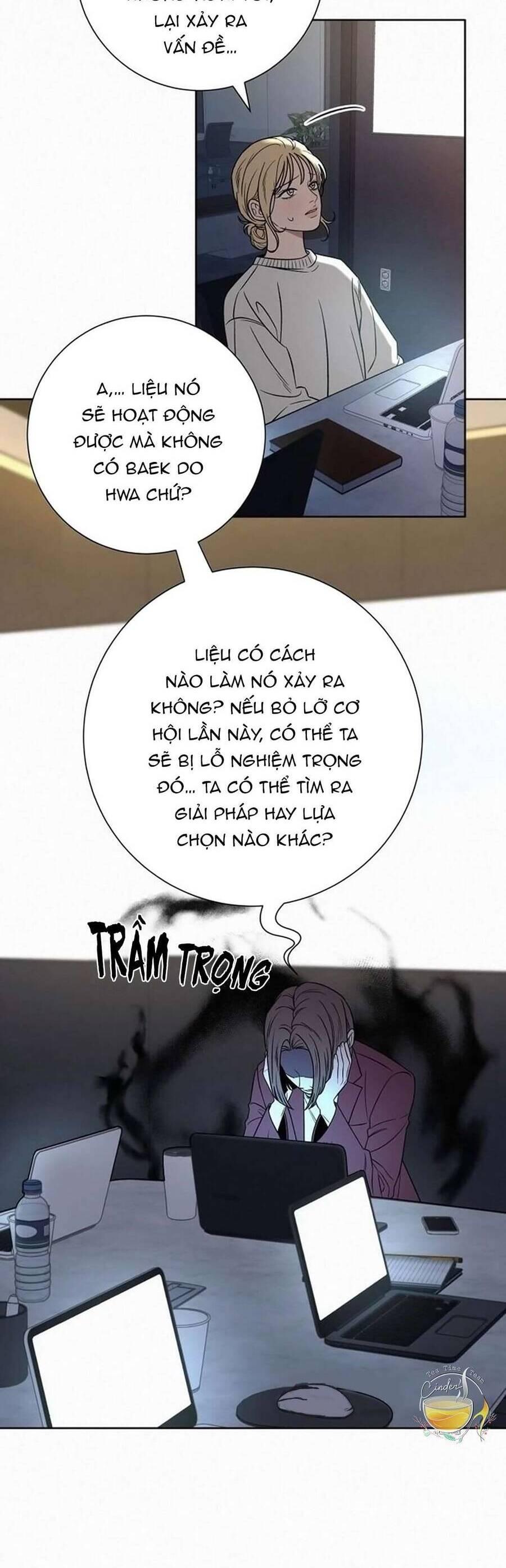Tình Yêu Trong Sáng 