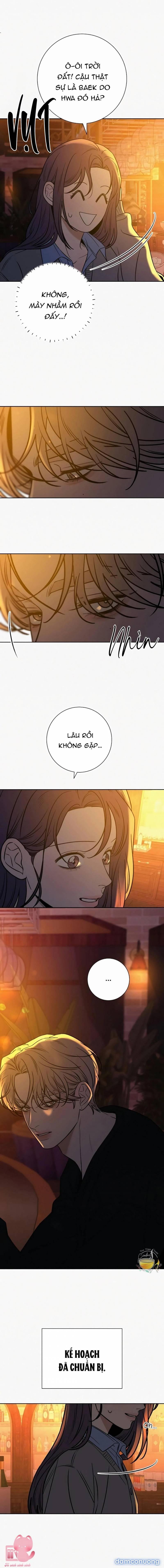 Tình Yêu Trong Sáng 