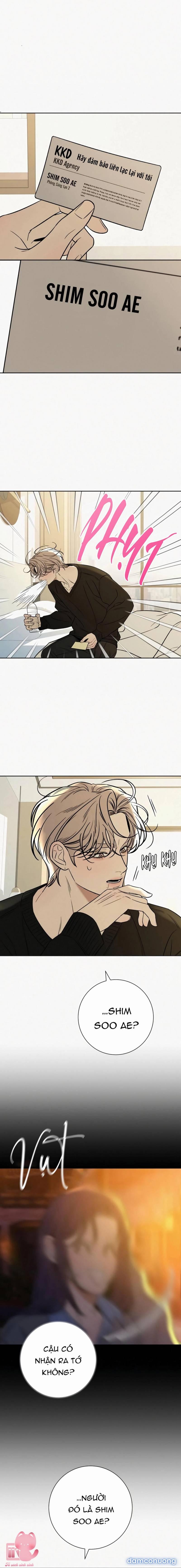 Tình Yêu Trong Sáng 