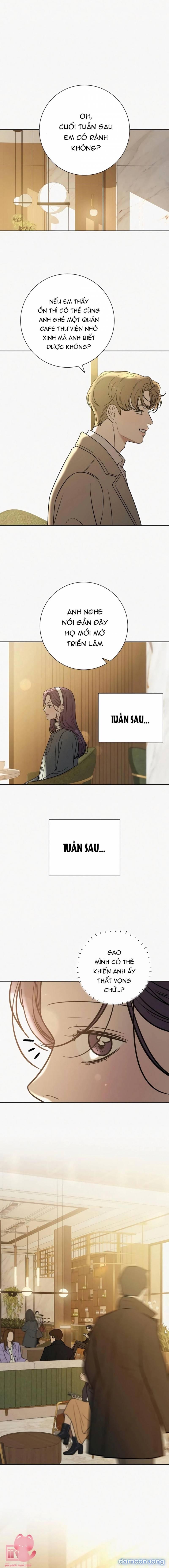 Tình Yêu Trong Sáng 