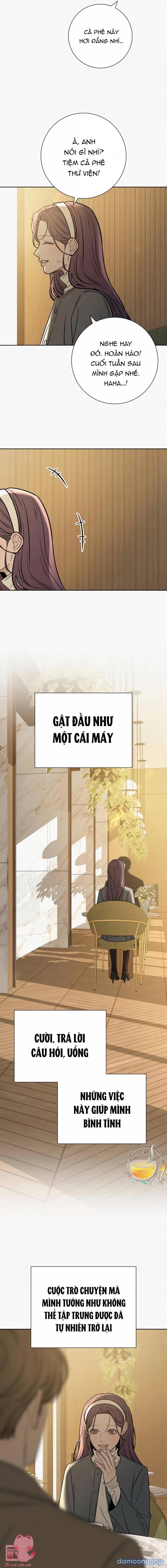 Tình Yêu Trong Sáng 