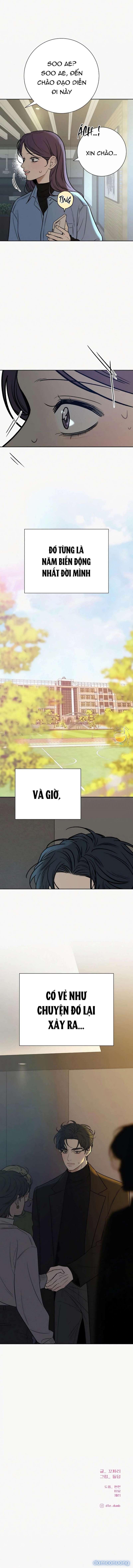 Tình Yêu Trong Sáng 