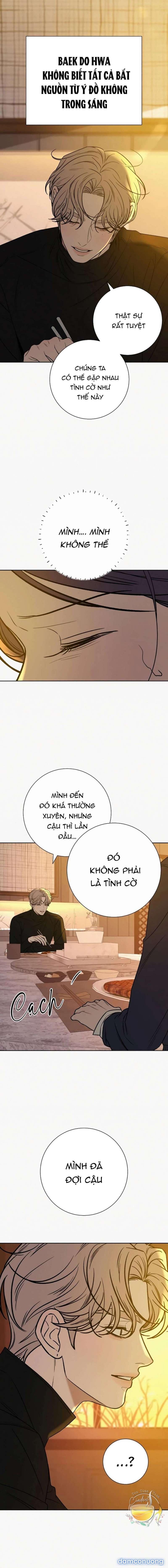 Tình Yêu Trong Sáng 