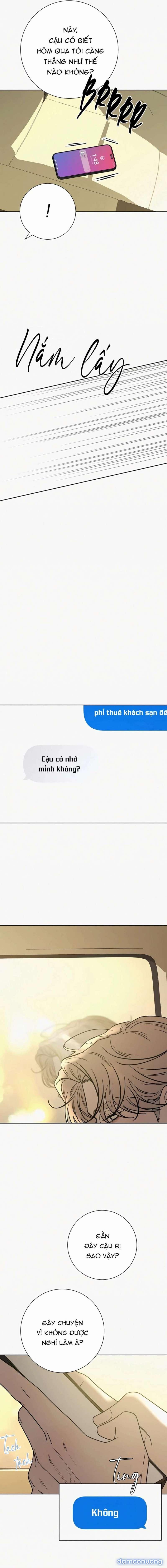 Tình Yêu Trong Sáng 