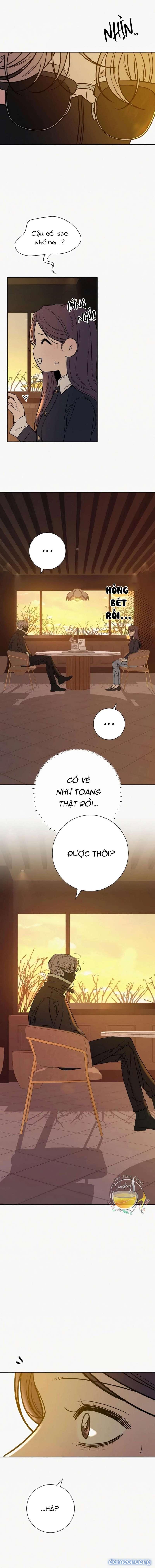 Tình Yêu Trong Sáng 