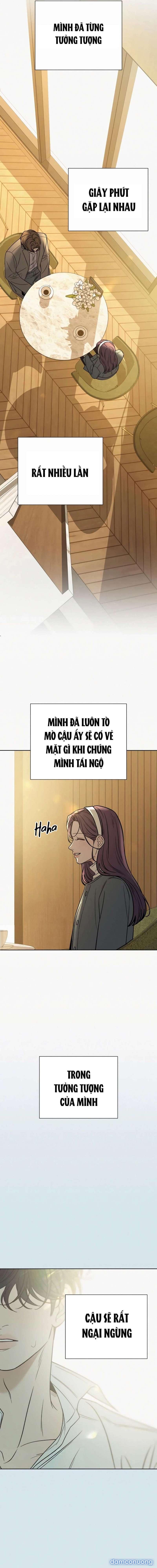 Tình Yêu Trong Sáng 