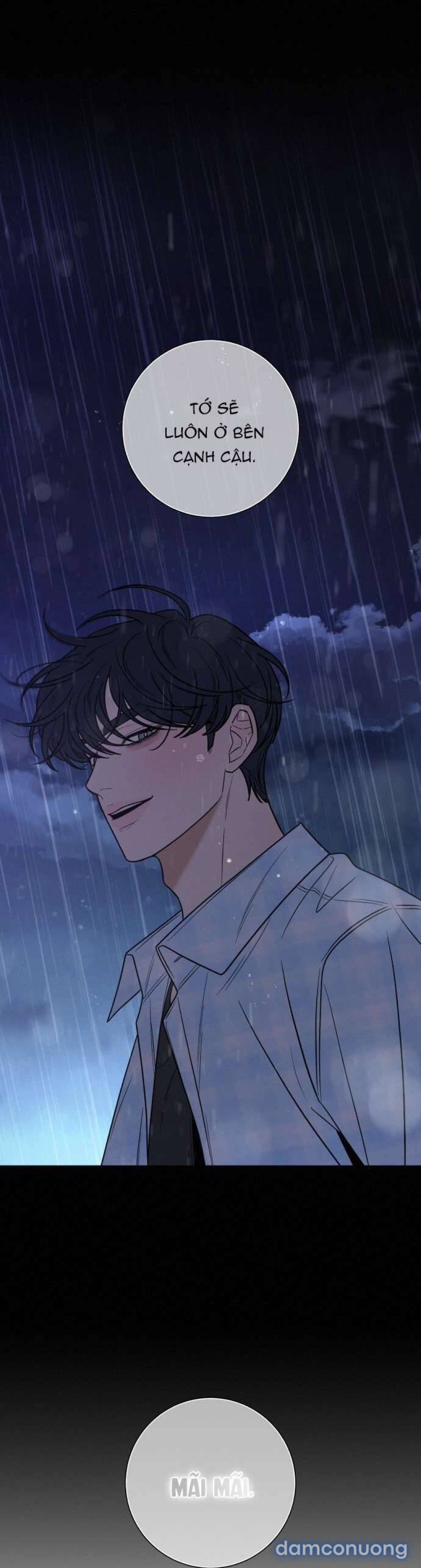 Tình Yêu Trong Sáng 