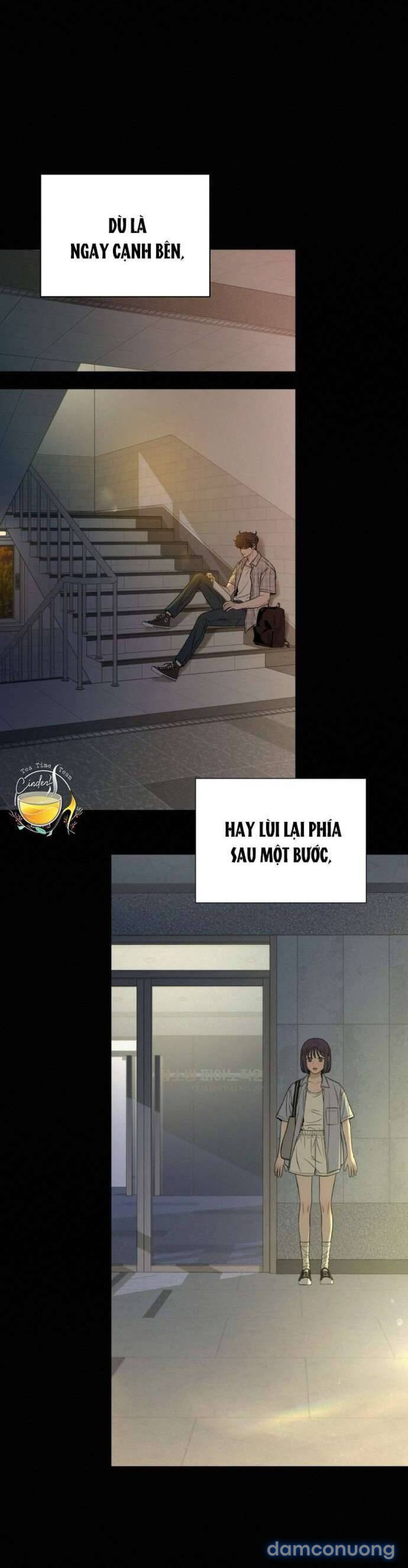 Tình Yêu Trong Sáng 