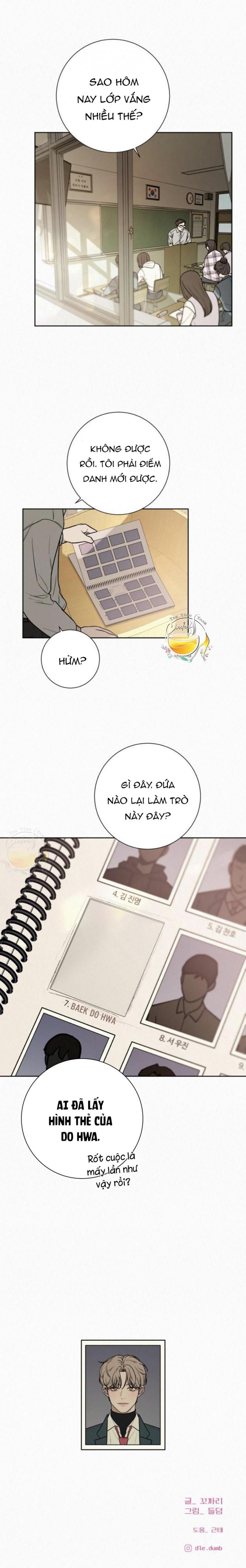 Tình Yêu Trong Sáng 