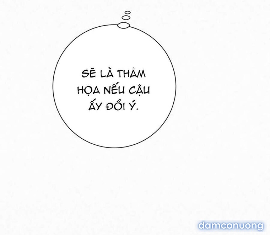 Tình Yêu Trong Sáng 