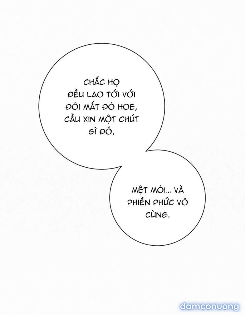 Tình Yêu Trong Sáng 