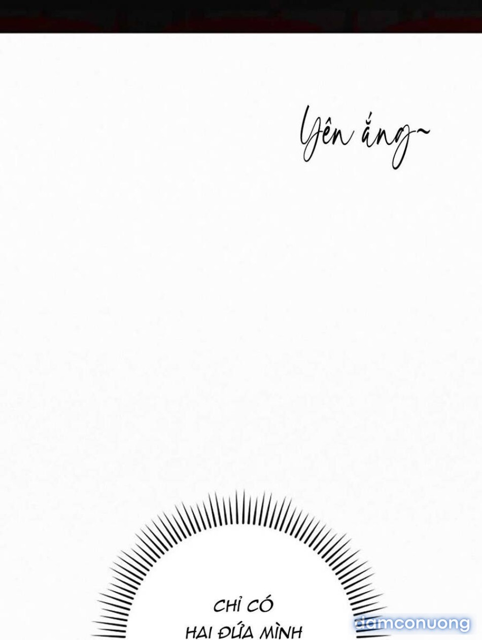 Tình Yêu Trong Sáng 