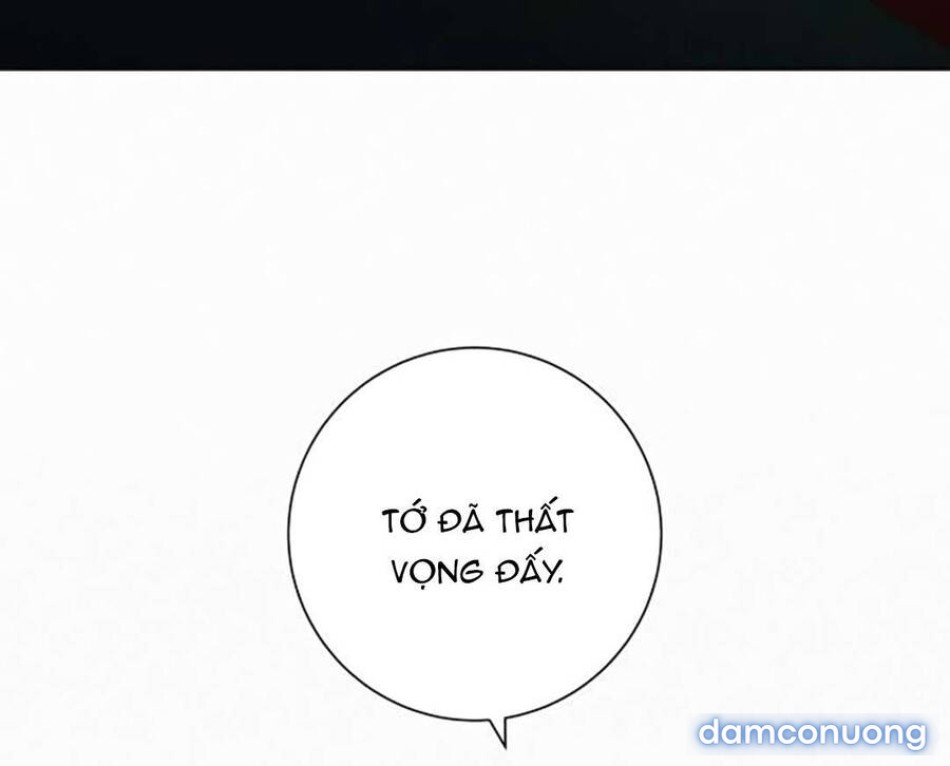 Tình Yêu Trong Sáng 