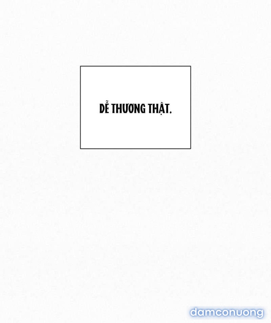 Tình Yêu Trong Sáng 