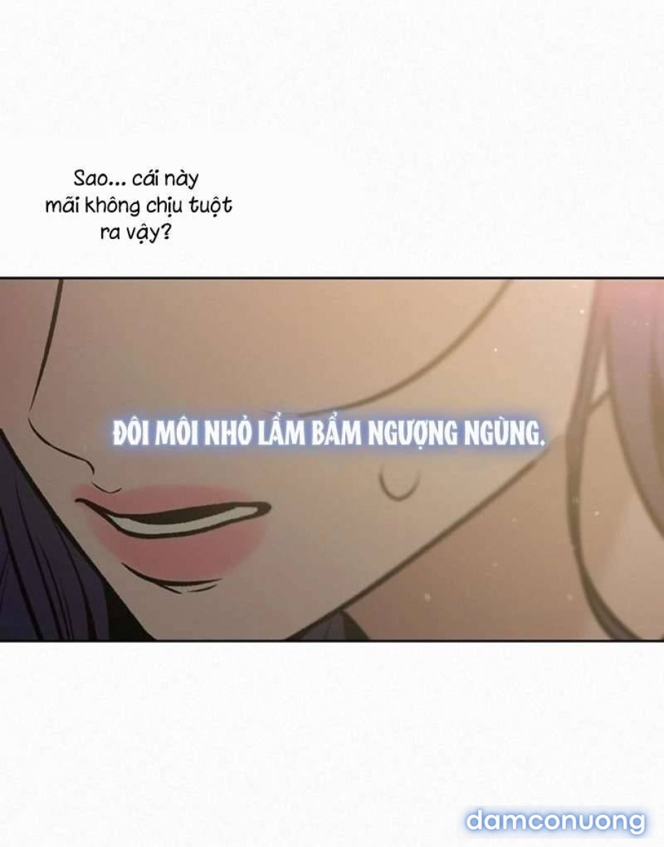 Tình Yêu Trong Sáng 