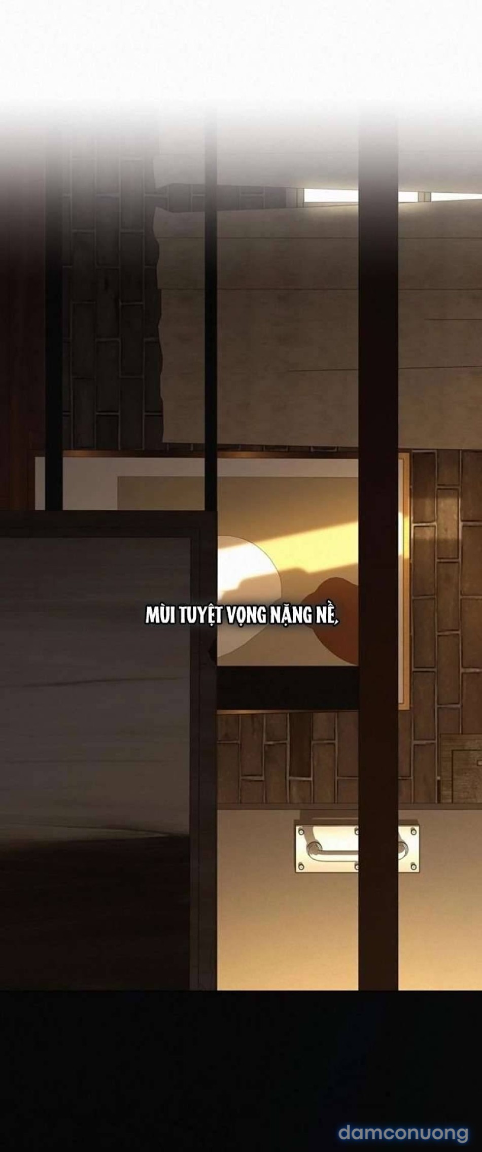 Tình Yêu Trong Sáng 
