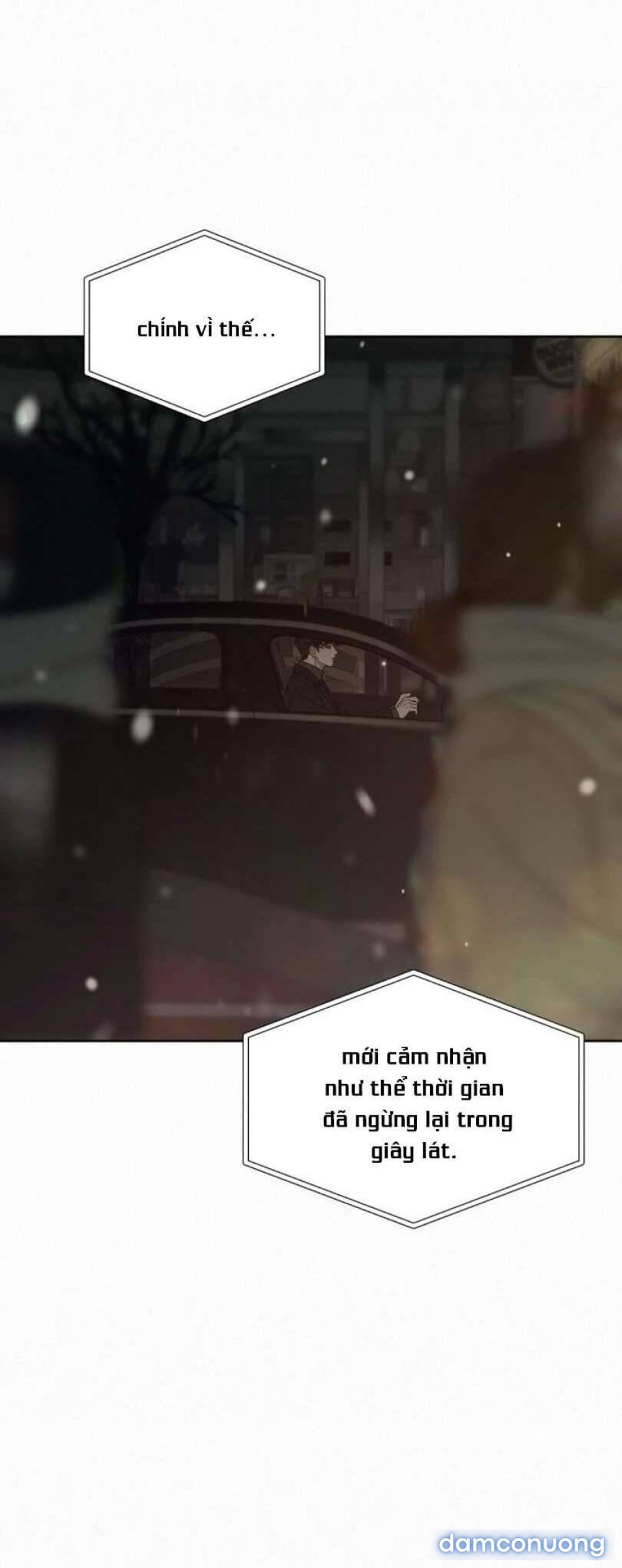 Tình Yêu Trong Sáng 