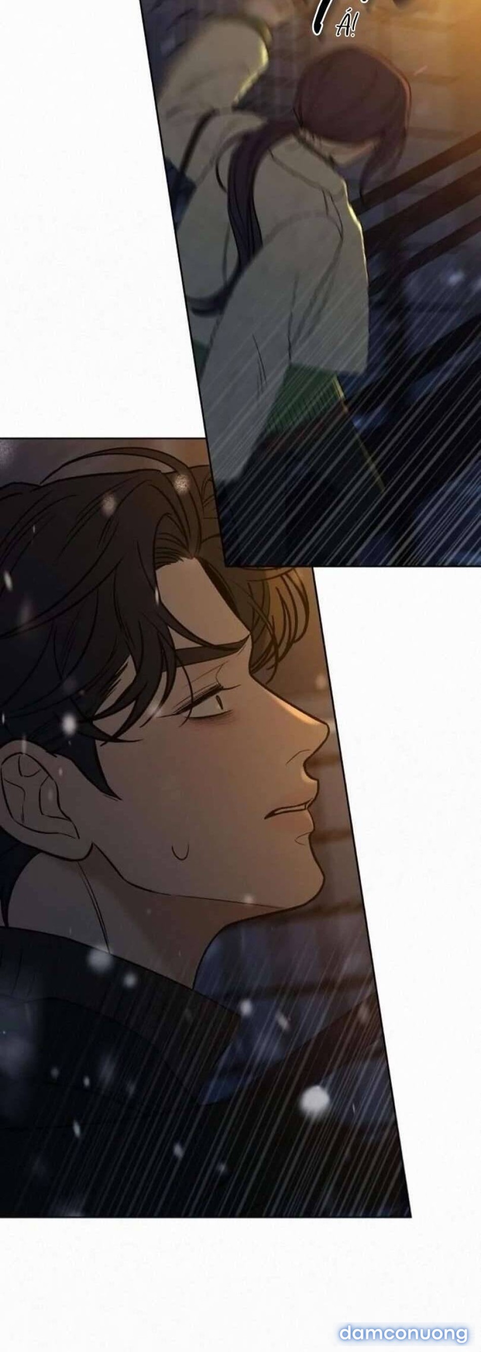 Tình Yêu Trong Sáng 