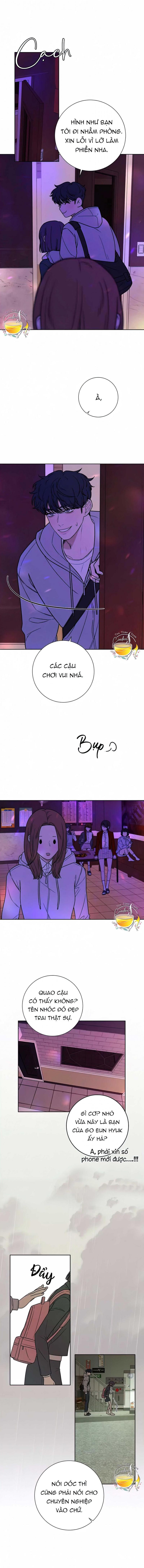 Tình Yêu Trong Sáng 