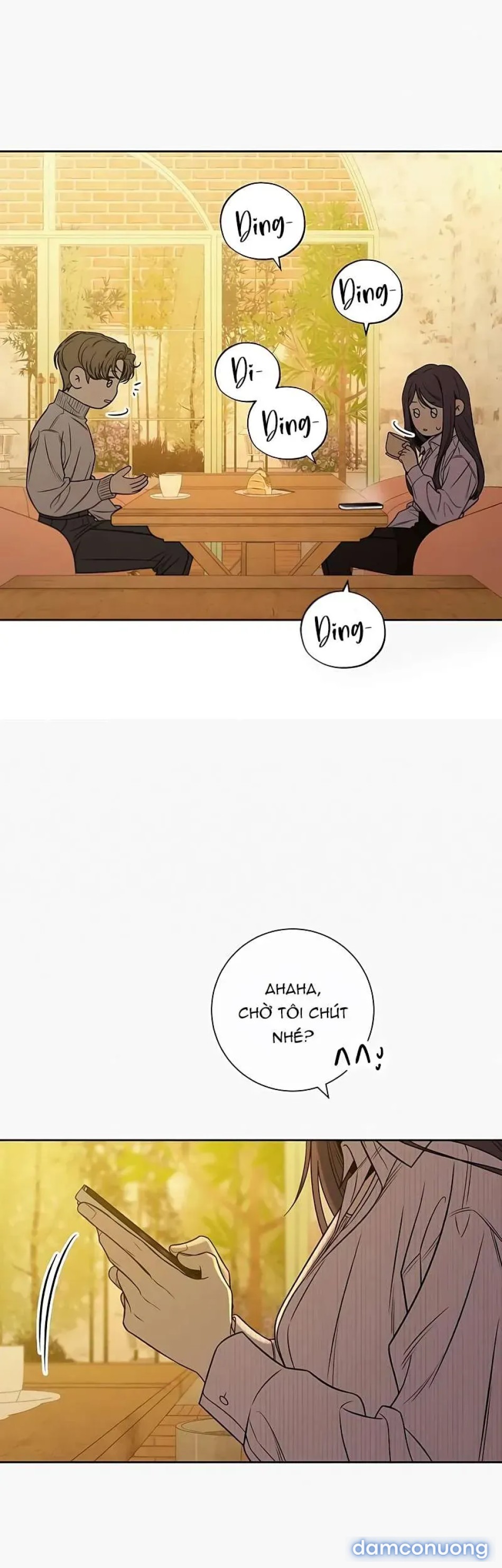 Tình Yêu Trong Sáng 