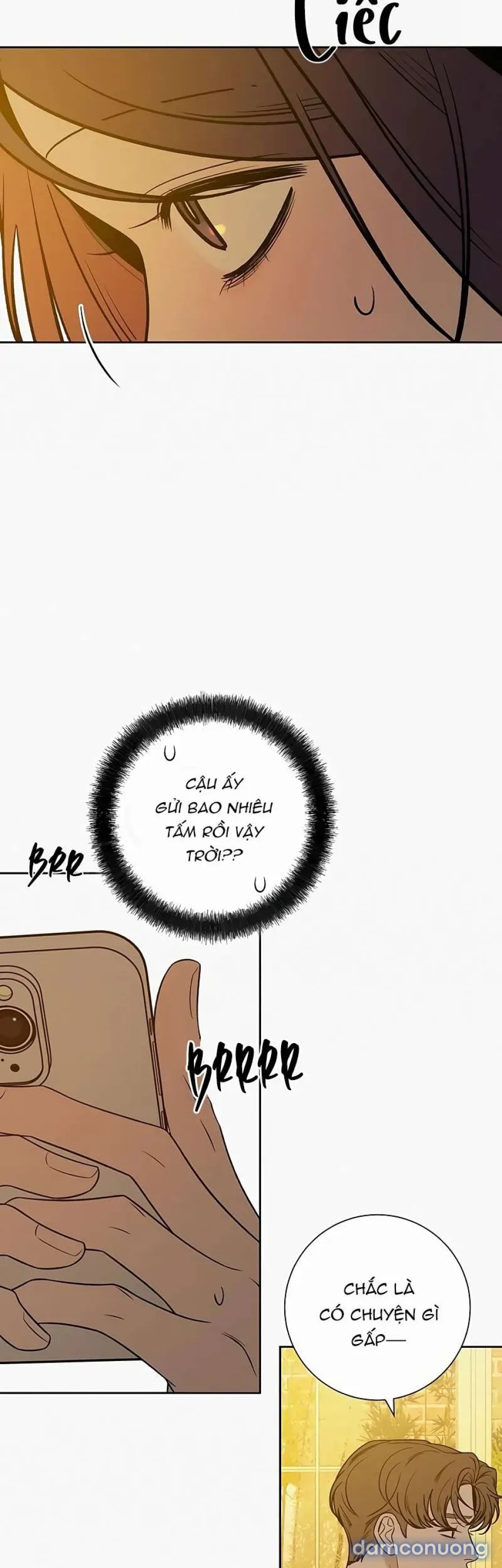 Tình Yêu Trong Sáng 