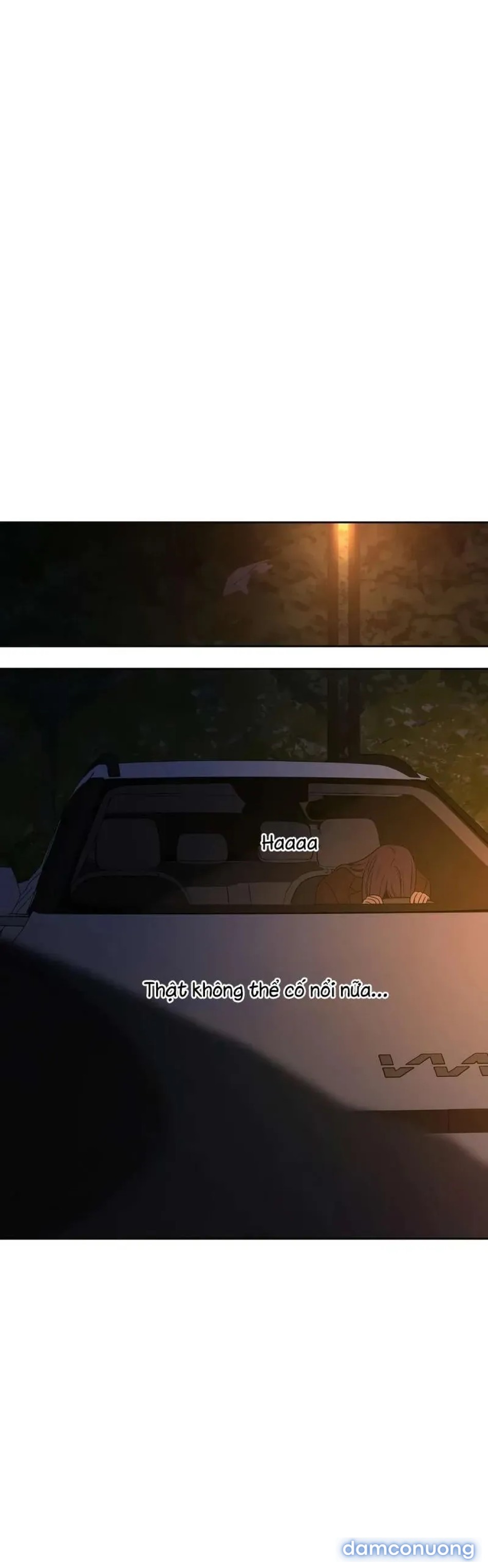 Tình Yêu Trong Sáng 