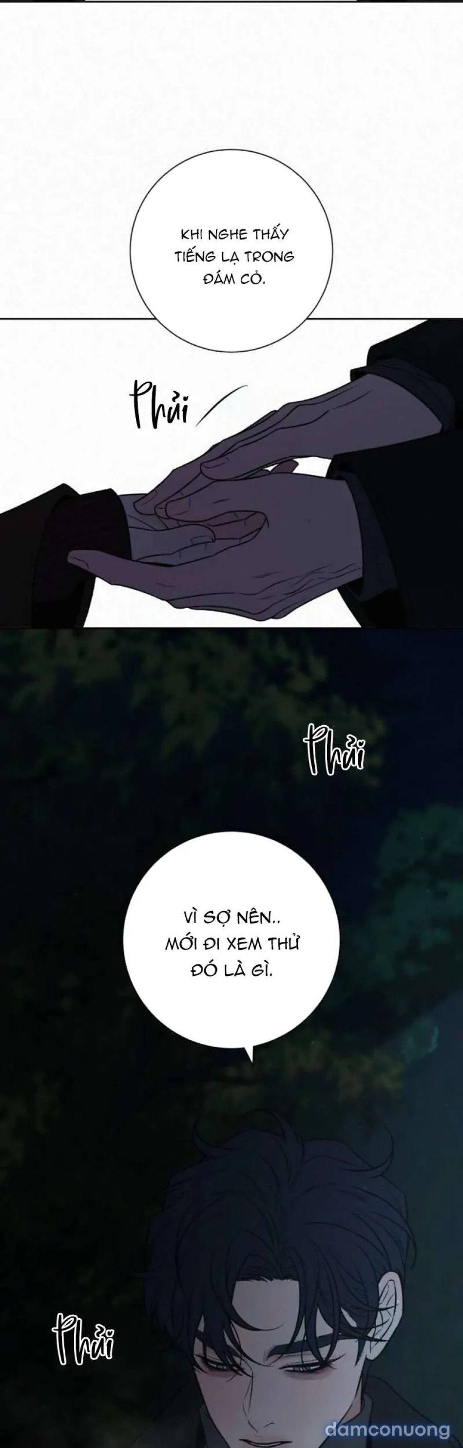 Tình Yêu Trong Sáng 