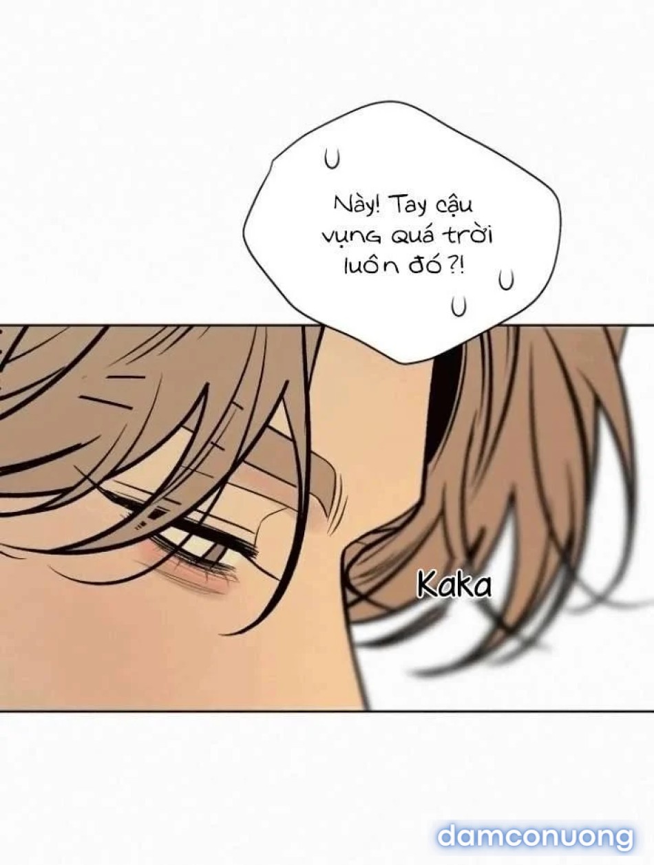 Tình Yêu Trong Sáng 